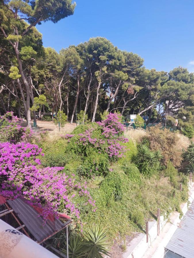Zoxi Apartmani Split Exteriör bild